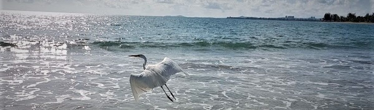 Una vida entre las palabras