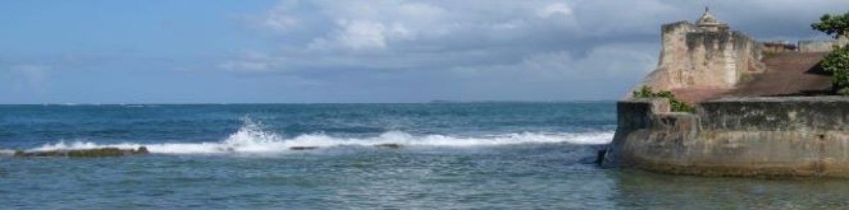 Una vida entre las palabras